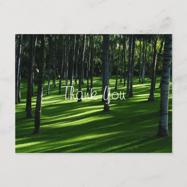 Carte Postale Merci forestier de palmiers (Devant)