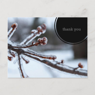 Carte Postale Merci glacial de branche d'arbre