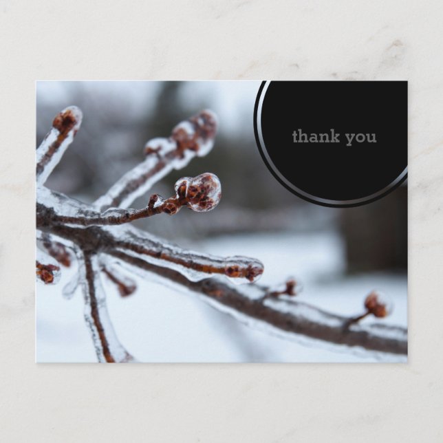 Carte Postale Merci glacial de branche d'arbre (Devant)