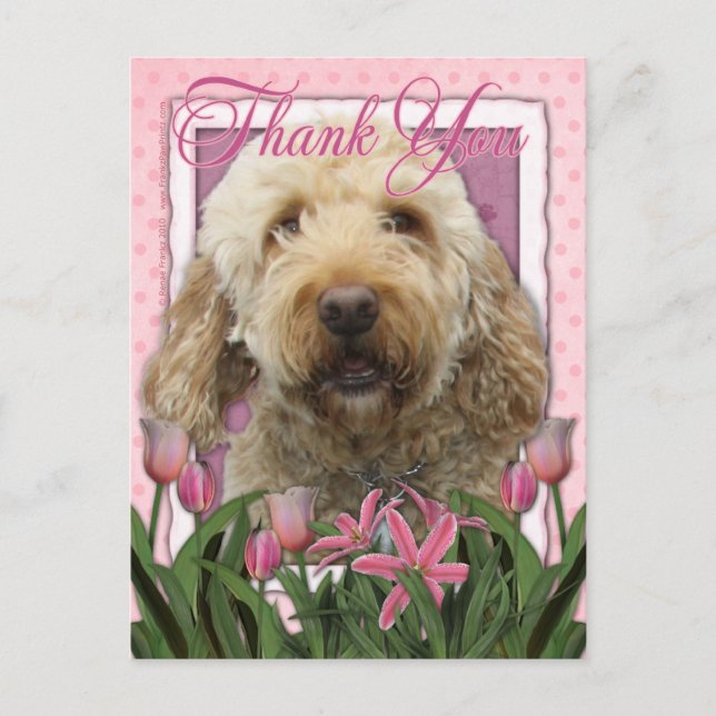Carte Postale Merci - Goldendoodle (Devant)