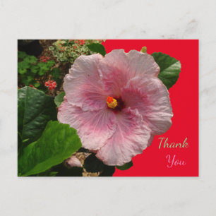 Carte postale Merci Hibiscus rose