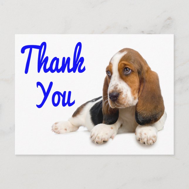Carte postale Merci Hound (Devant)