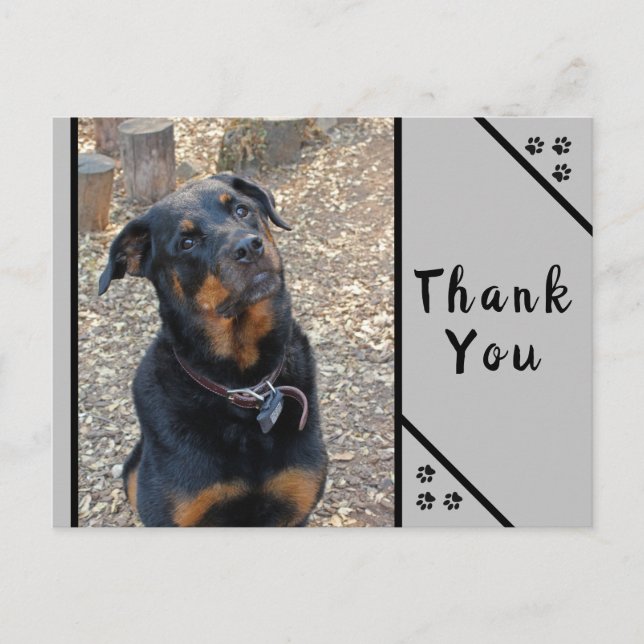 Carte postale Merci inclinable tête Rottweiler (Devant)