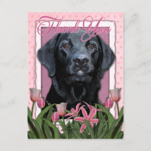 Carte Postale Merci - Labrador - Noir - Gaz