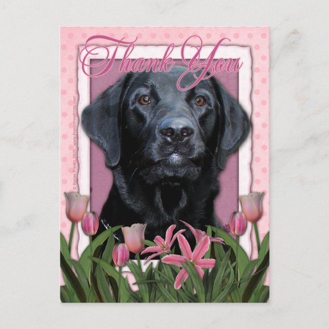 Carte Postale Merci - Labrador - Noir - Gaz (Devant)