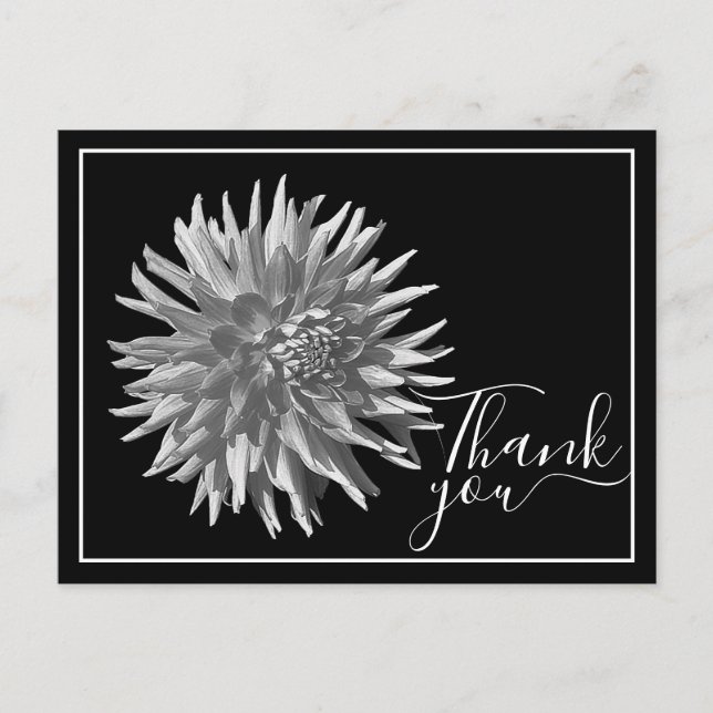 Carte Postale Merci noir/blanc Cactus Dahlia noir (Devant)