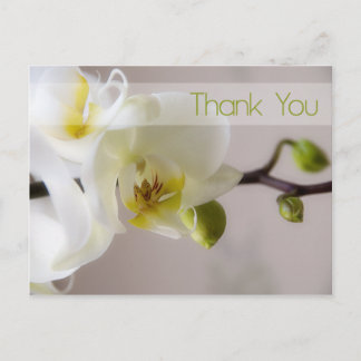 Carte postale Merci orchidée blanche
