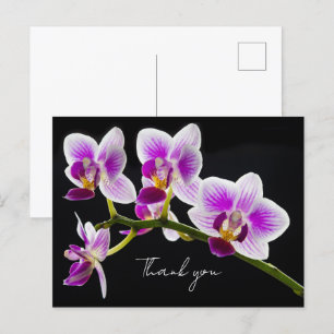 Carte postale Merci orchidée blanche et violette