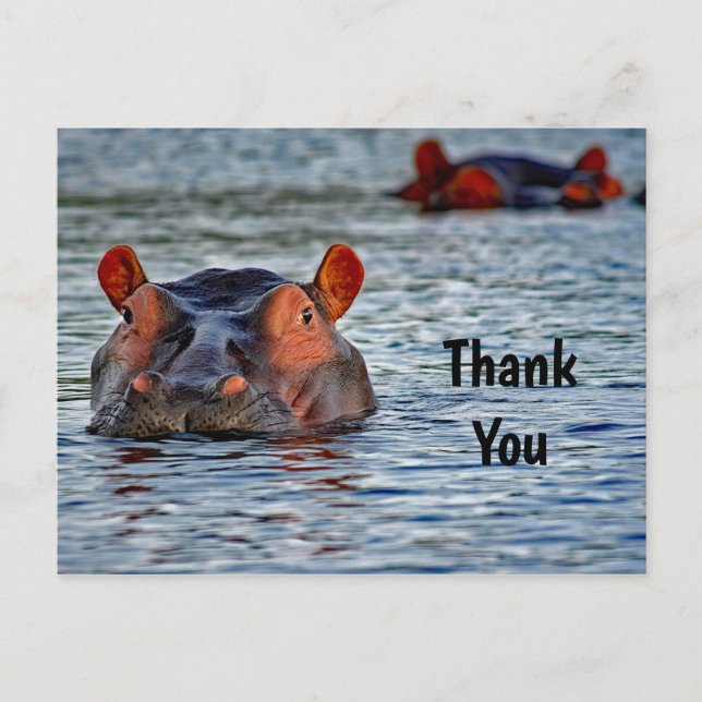 Carte Postale Merci photo de la faune Hippo Water (Devant)