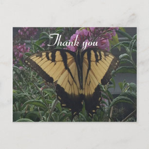 Carte Postale Merci Photo Papillon jaune et noir