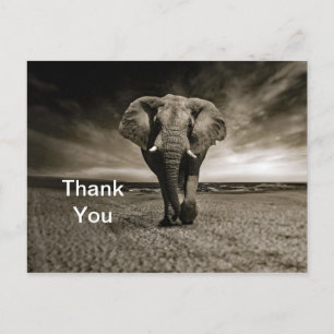 Carte Postale Merci photo Wildlife Bull Elephant