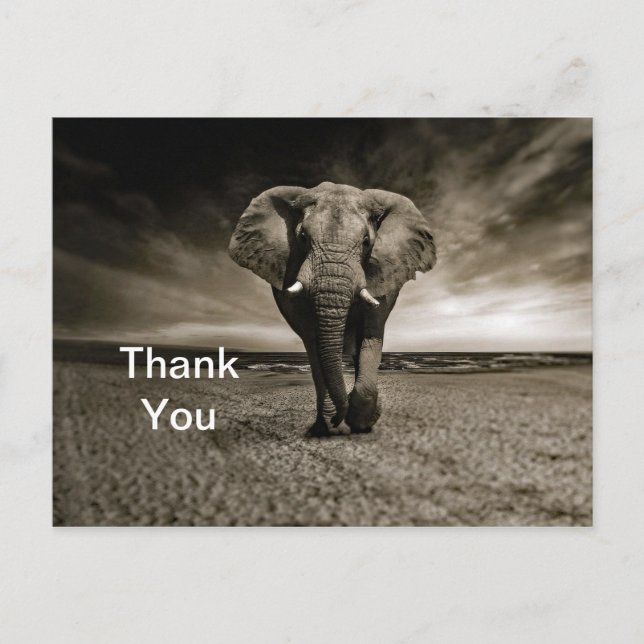 Carte Postale Merci photo Wildlife Bull Elephant (Devant)