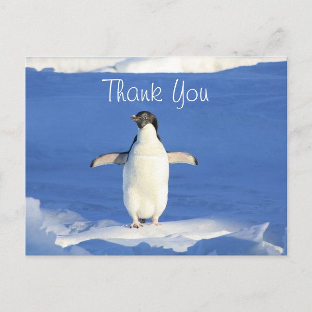 Carte Postale Merci Pingouin Drôle (Devant)