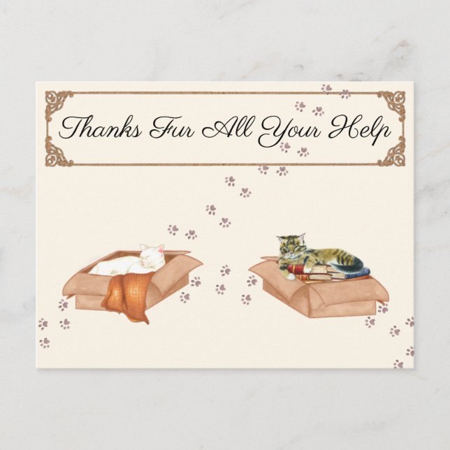 Carte Postale Merci pour toute votre aide ! Chats dans des boîte (Devant)