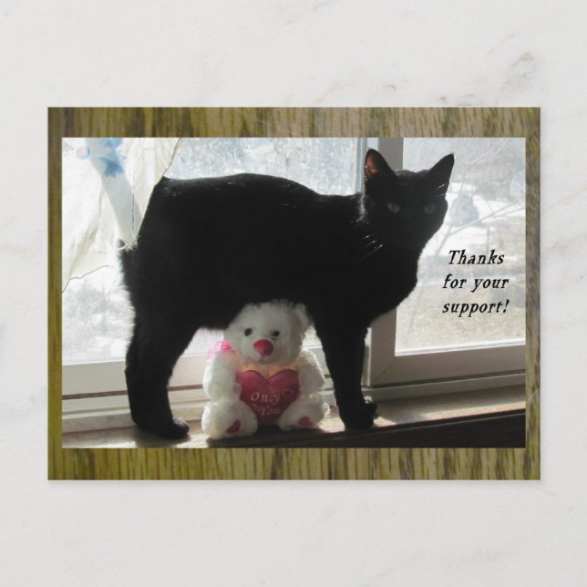 Carte Postale Merci pour votre soutien chat noir et ours en pelu (Devant)