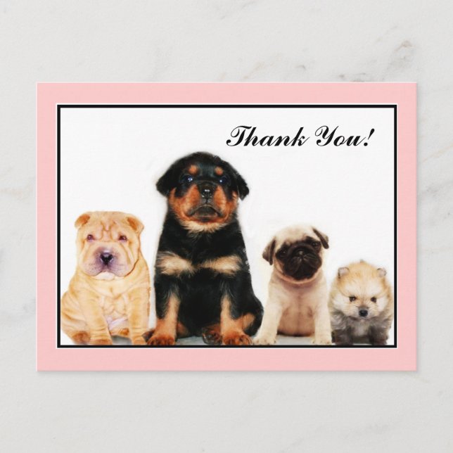 Carte postale Merci Puppies (Devant)