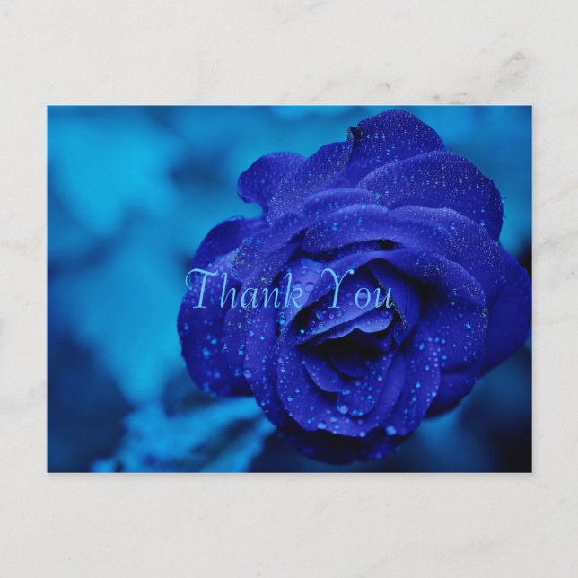 Carte Postale Merci Rose bleu (Devant)