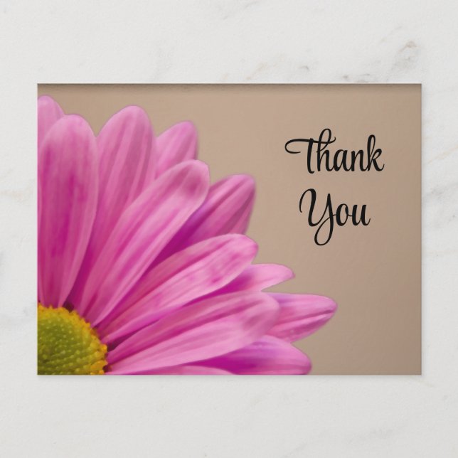 Carte Postale Merci rose Gerber Daisy (Devant)