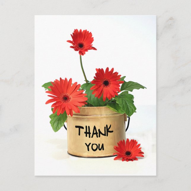 Carte postale Merci rouge Gerbera Fleur Pot (Devant)