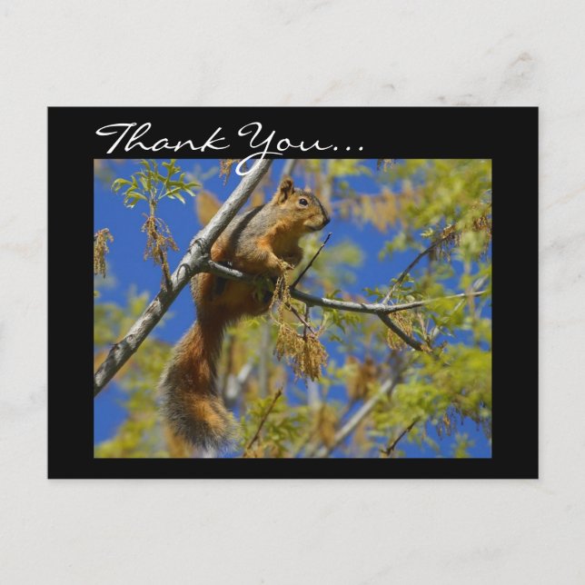 Carte postale Merci Squirrel (Devant)