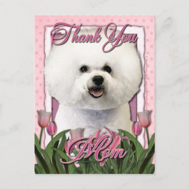 Carte Postale Merci - Tulipes roses - Bichon Frise (Devant)