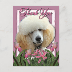 Carte Postale Merci - Tulipes roses - Poodle - Apricot