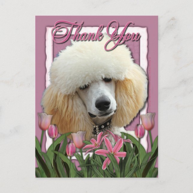 Carte Postale Merci - Tulipes roses - Poodle - Apricot (Devant)