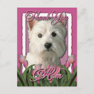 Carte Postale Merci - Tulipes roses - West Highland Terrier