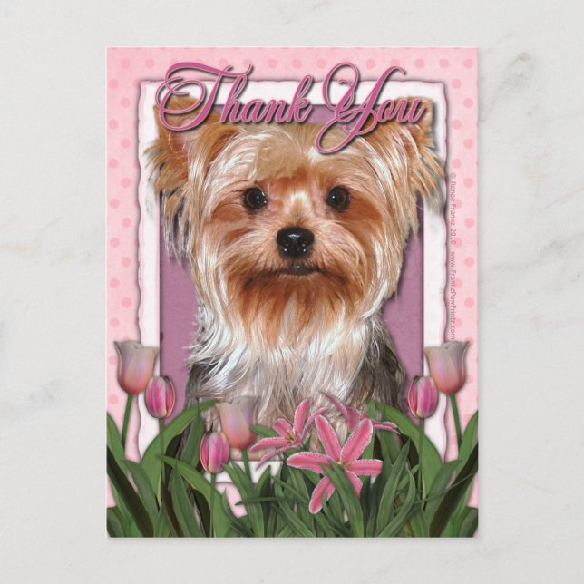 Carte Postale Merci - Tulipes roses - Yorkshire Terrier (Devant)