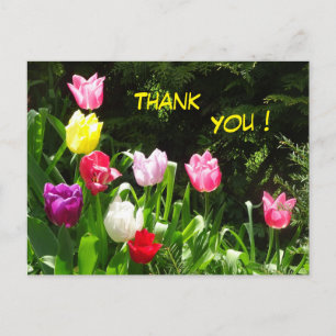 Carte postale Merci Tulips colorée