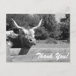 Carte postale Merci vache sceptique