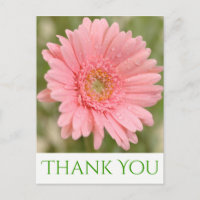Merci vert rose Gerbera Fleur marguerite