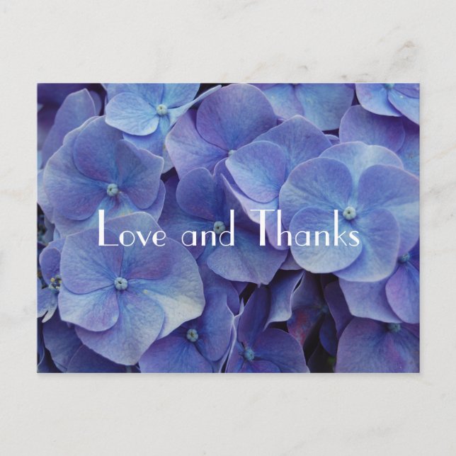 Carte postale Merci violet Hydrangea (Devant)