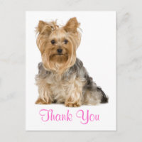 Carte postale Merci Yorkshire Terrier Chien Chien
