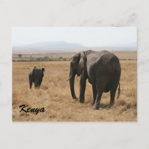 Carte Postale mère africaine d'éléphants