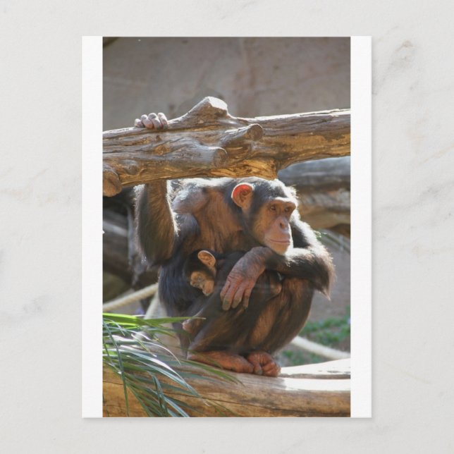 Carte Postale Mère et bébé (Devant)