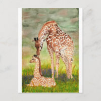 Mère et bébé Giraffes