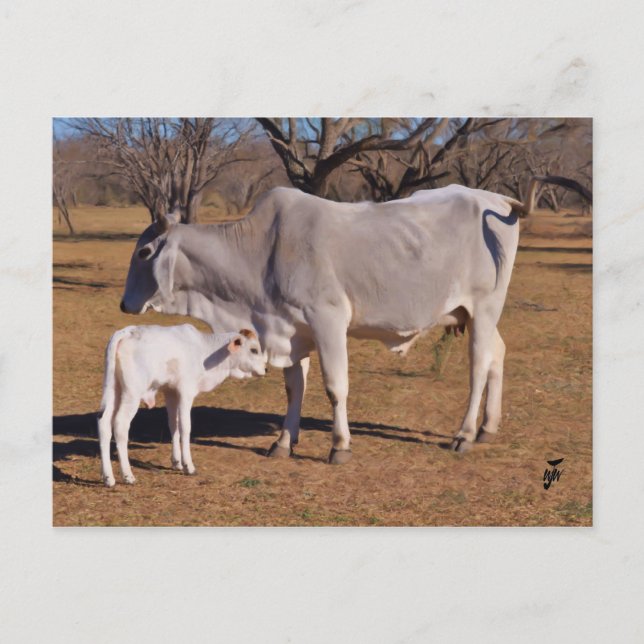 Carte Postale Mère et enfant (Devant)