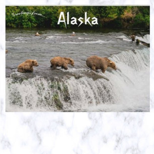 Carte Postale Mère et ours Cubs Pêche en Alaska