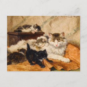 Carte Postale Mère et ses chatons