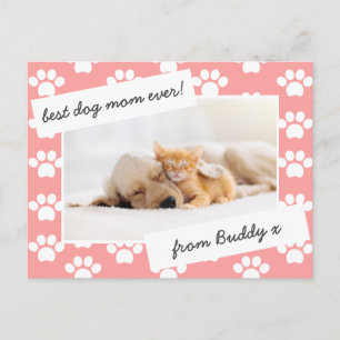 Carte Postale mère jour chien maman photo