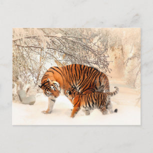 Carte Postale Mère Tigre et Cub dans la forêt de neige