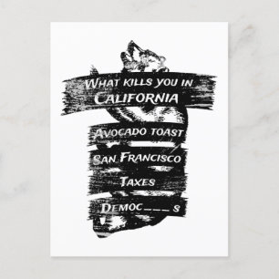 Carte Postale Merica Humour Amérique USA Funny Californie