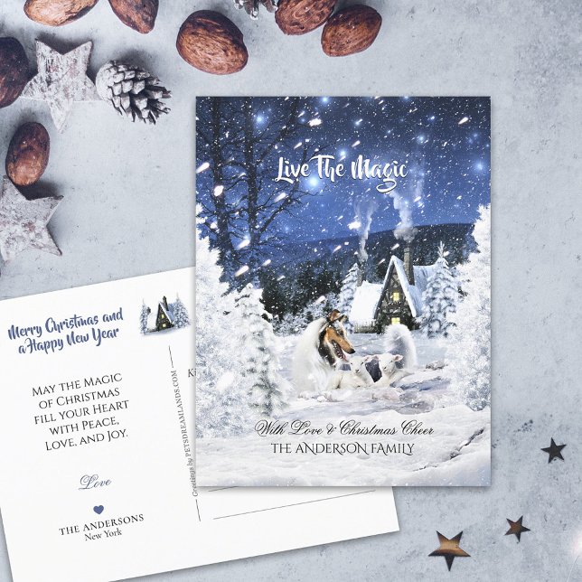 Carte Postale Merle Collie & Agneaux dans la nuit d'hiver - Noël (Créateur téléchargé)