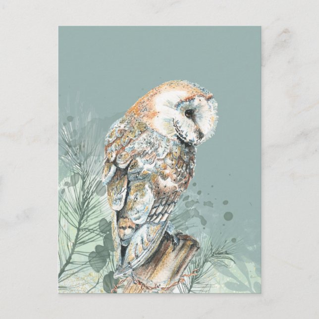Carte Postale Merveilleuse Chouette d'Amérique Oiseau Faune Natu (Devant)
