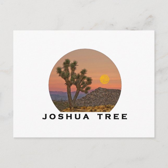 CARTE POSTALE MERVEILLEUX JOSHUA TREE (Devant)
