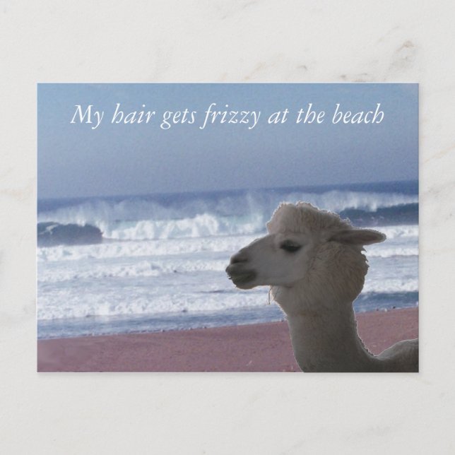 Carte postale - Mes cheveux deviennent frizzy ... (Devant)