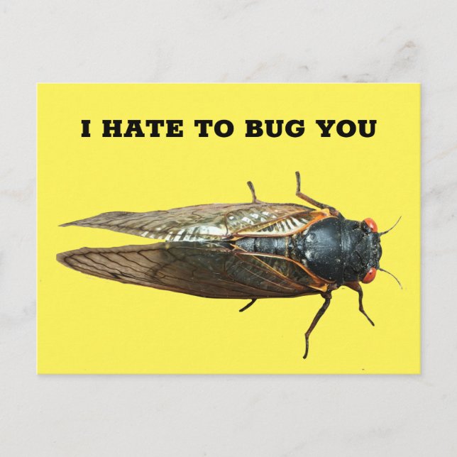 Carte Postale Message personnalisé de la photo d'insectes de boe (Devant)