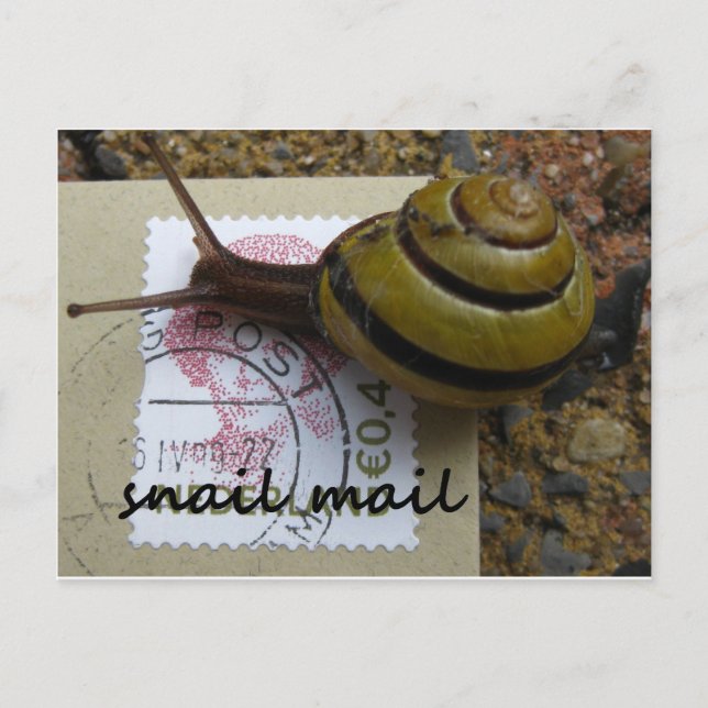 Carte Postale Messagerie d'escrocs (Devant)
