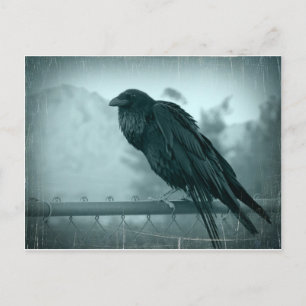 Carte Postale Messenger